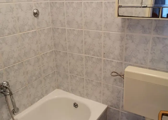 Gostinjska kuća Radonic 3*